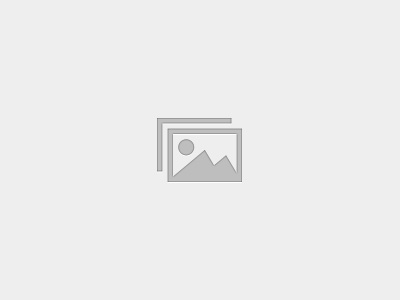Export Business Coach